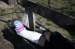 ashley262