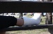 ashley280