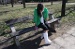 ashley314