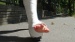 DSC05361