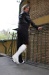 pic062