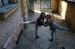 clarissa138