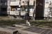 dora_063