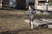 dora_082