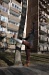 dora_045