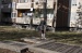 dora_061
