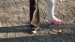 DSC03079