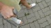 DSC01955