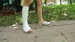 DSC01967