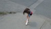 DSC00550