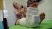 DSC01038