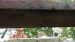 DSC01639
