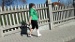 DSC04094