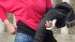DSC03731