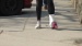 DSC03941
