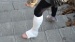 DSC03968