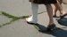 DSC05705