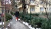 DSC09740