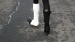 DSC09880