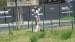 DSC03236