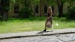 DSC03258
