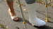 DSC07202