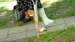 DSC00225