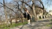 DSC09962