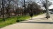 DSC09966