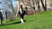 DSC09981