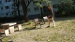 DSC02700