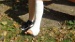DSC02702