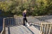 rose_slwc(23)