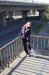 rose_slwc(37)