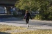 rose_slwc(65)