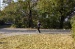rose_slwc(70)