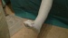 DSC03164
